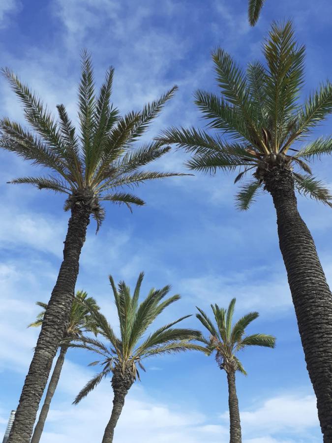 Carolinas Aptmt Orihuela Villacosta ภายนอก รูปภาพ