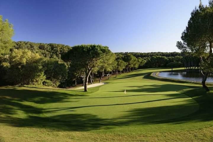 Carolinas Aptmt Orihuela Villacosta ภายนอก รูปภาพ